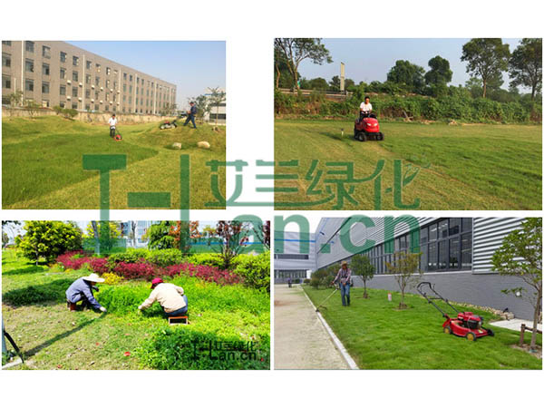 都会园林绿化的要点有哪些？